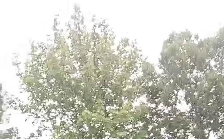 东莞玻璃钢电缆桥架规格